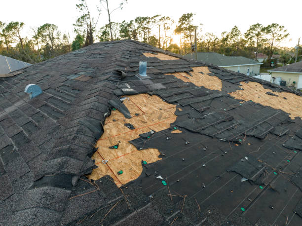 Professional Roofing Services in Baton Rouge, LA